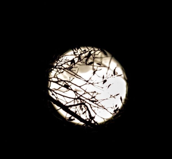 Shadow Moon