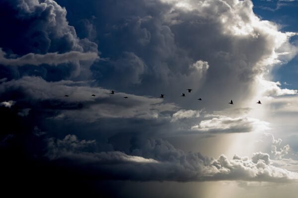 God's Hand